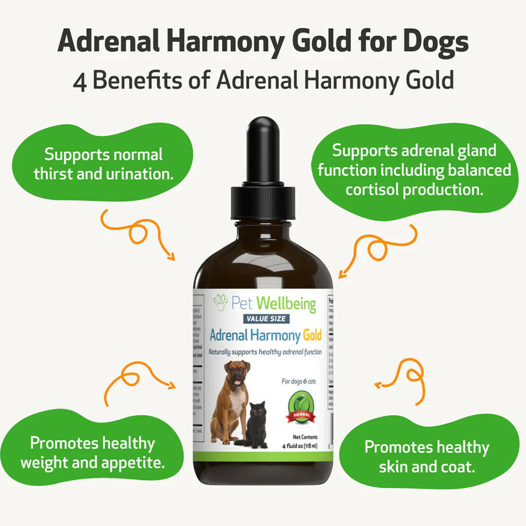 Pet Wellbeing- Adrenal Harmony Gold for Dog Cushing's (2 oz)