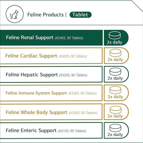 standard process renal support feline
