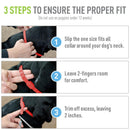 Adams Plus Flea and Tick Collar for Small Dogs