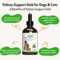 Kidney Support Gold for Cats (4 oz)
