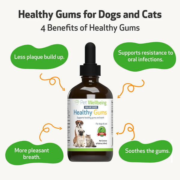 Healthy Gums- for Canine Periodontal Health (2 oz)