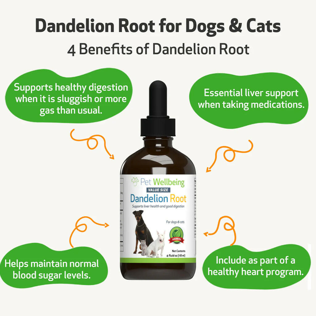 Dandelion root digestive support solution for cats