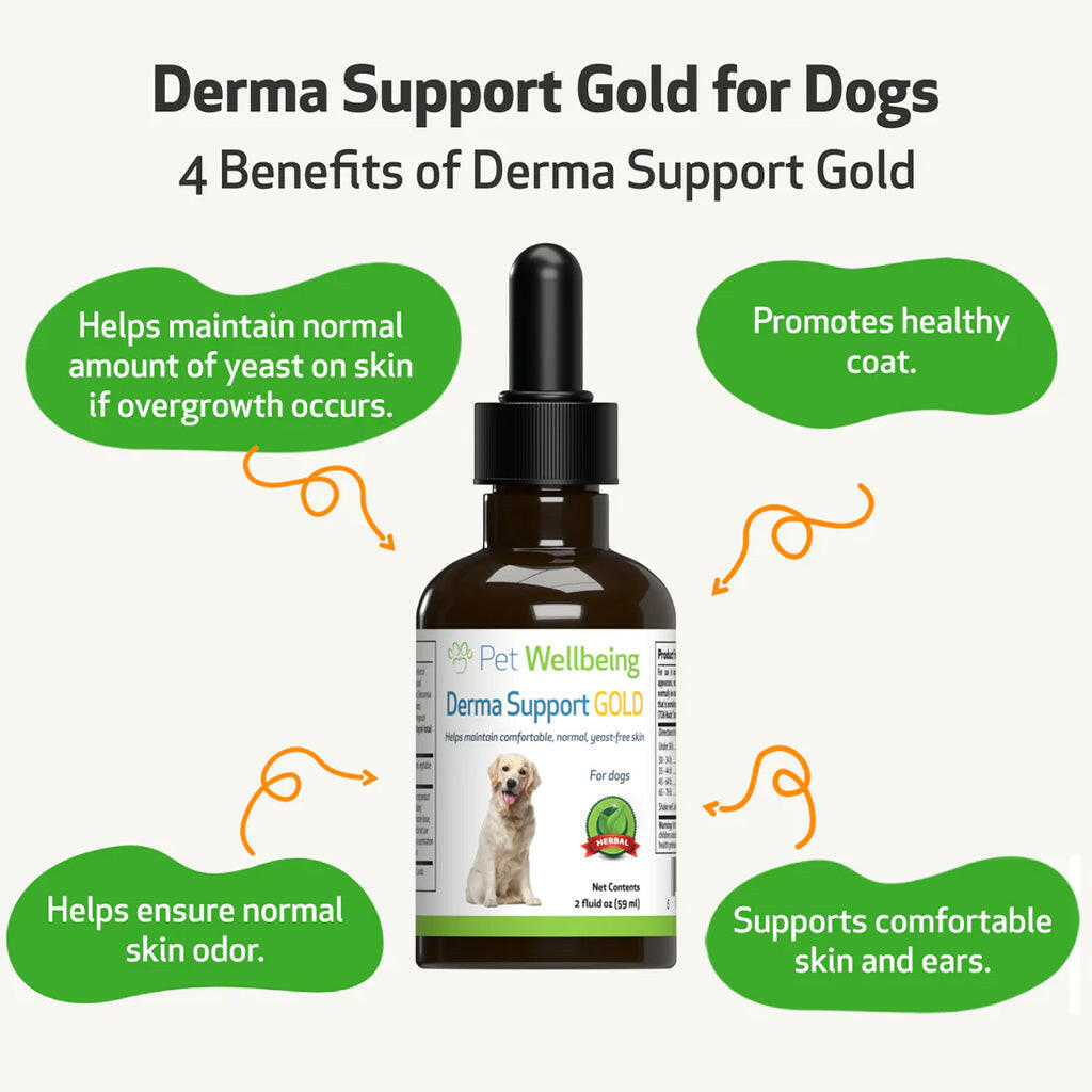 Derma Support Gold for Dogs Healthy Coat, Odor & Itching (2 oz)