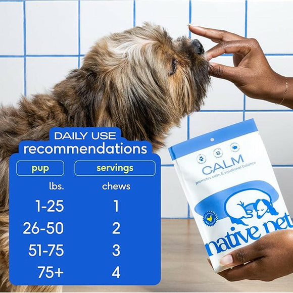 melatonin chews for dogs