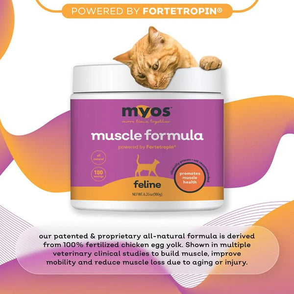 MYOS Feline Muscle Formula Powder Cat Supplement (180 g)