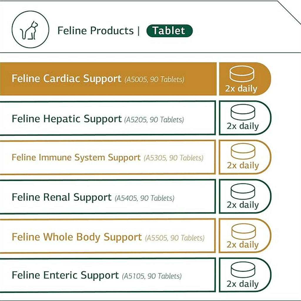 standard process feline cardiac support