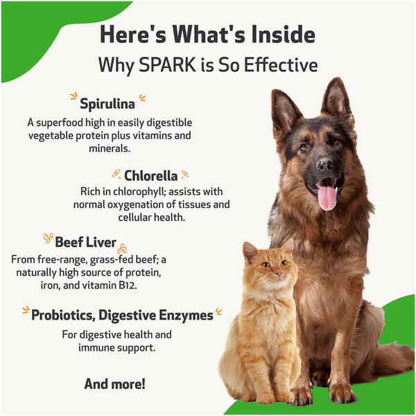 SPARK Daily Nutritional Greens Supplement For Dogs & Cats (3.53 oz)