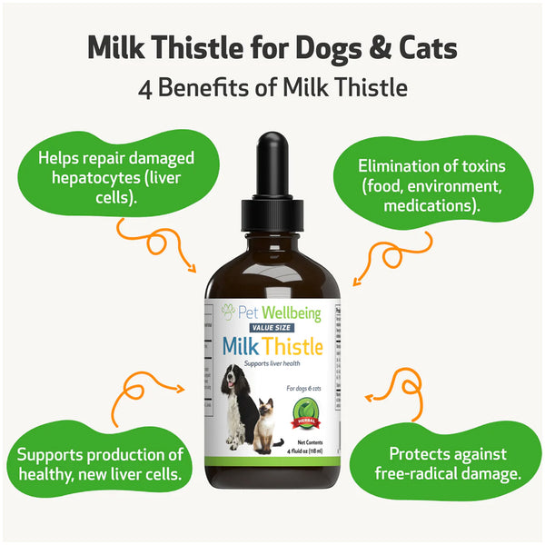 Milk Thistle - for Healthy Liver Function in Dogs (2 oz)