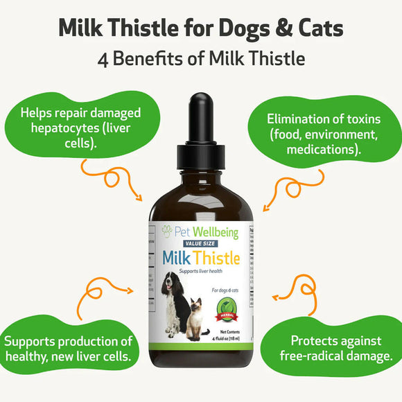 Milk Thistle for Healthy Liver Function in Cats
