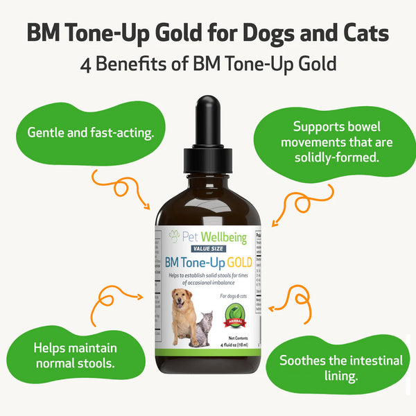 BM Tone-Up Gold for Loose Stools in Dogs (4 oz)