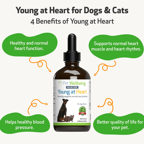Young at Heart - for Healthy Heart Maintenance in Dogs (2 oz)