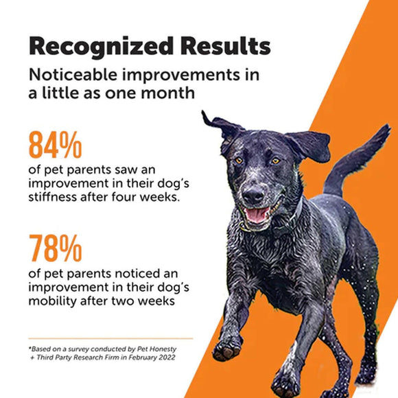 Pet Honesty Hip + Joint Health Max Strength Soft Chews for Dogs (90 ct)