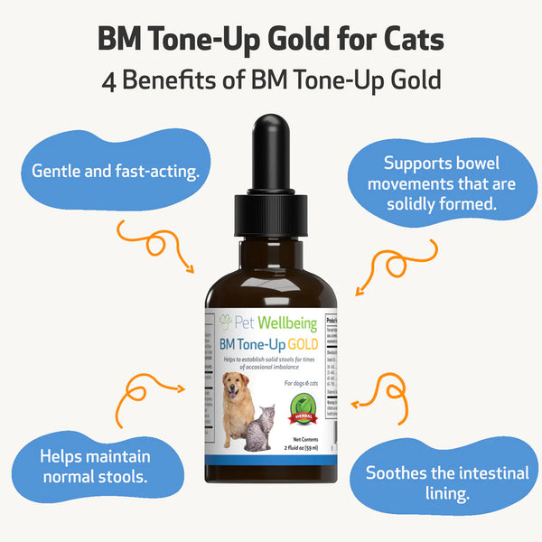 BM Tone-Up Gold for Loose Stools in Cats (2 oz)