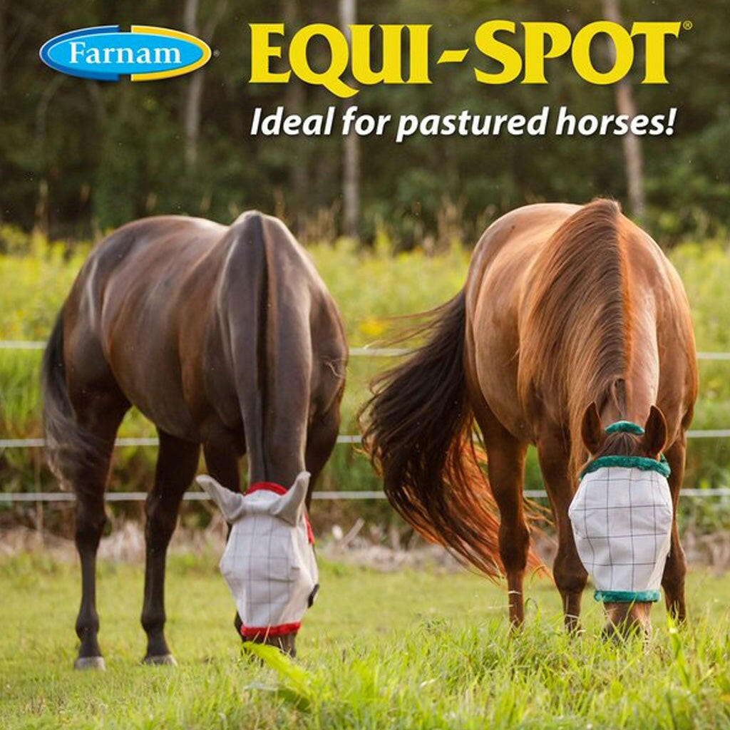 Equi-Spot Spot-On Protection for Horses, 10mL (3 Dose)