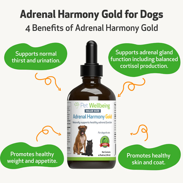 Pet Wellbeing- Adrenal Harmony Gold for Dog Cushing's (4 oz)