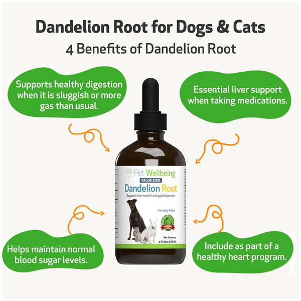 Dandelion Root Digestive & Liver Support for Dogs (2 oz)