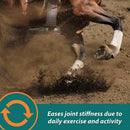 Farnam Next Level Joint Fluid Supplement For Horses (128 oz)