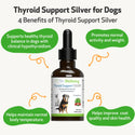 Thyroid Support Silver - for Low Thyroid in Dogs (2 oz)