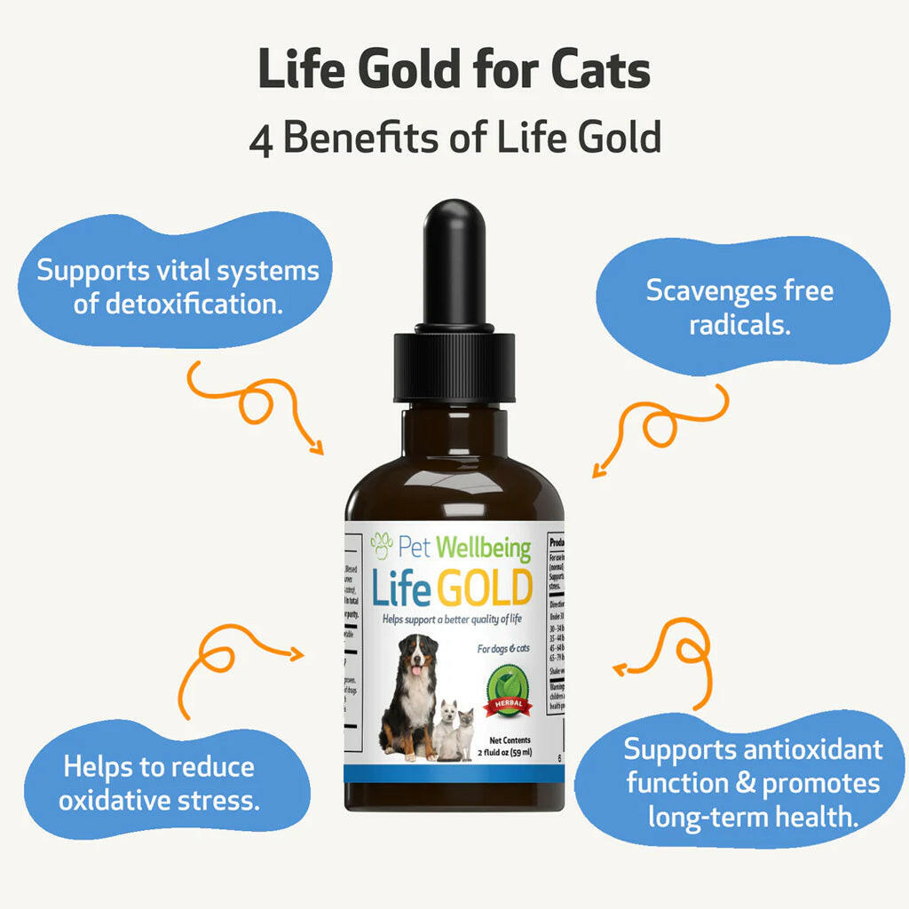 Life Gold - Trusted Care for Cat Cancer (2 oz)