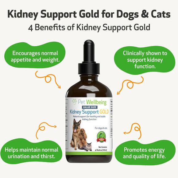 Kidney Support Gold for Cats (2 oz)
