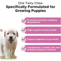Pet Honesty Multivitamin Soft Chews for Puppies (90 ct)