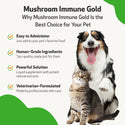 Mushroom Immune Gold - Holistic Cancer Support for Cats (8 oz)