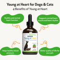 Young at Heart for Healthy Heart Maintenance in Cats (4 oz)