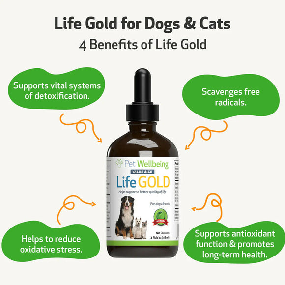 Life Gold - Trusted Care for Dog Cancer (2 oz)