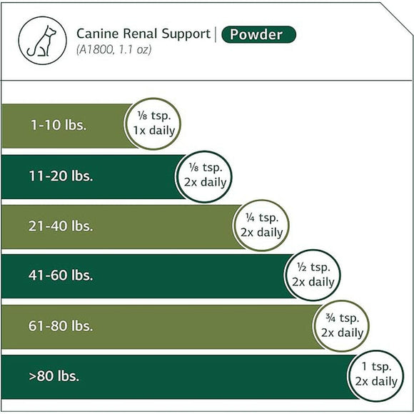 canine renal support powder