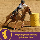 Horse Health Products Joint Combo Classic Pellets Horse Supplement (8 lb)