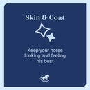Blue card with text 'Skin & Coat' and horse icon on a light blue background