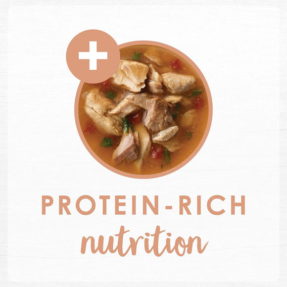 Fancy Feast Classic Broths with Wild Salmon & Vegetables Supplemental Wet Cat Food Pouches