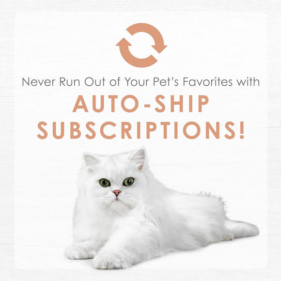 Fancy Feast Classic Broths with Wild Salmon & Vegetables Supplemental Wet Cat Food Pouches