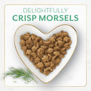 Fancy Feast Gourmet Ocean Fish & Salmon & Accents of Garden Greens Dry Cat Food