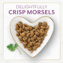 Fancy Feast with Savory Chicken & Turkey Dry Cat Food