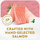 Fancy Feast Appetizers Wild Alaskan Salmon in a Delicate Broth Lickable Cat Treats
