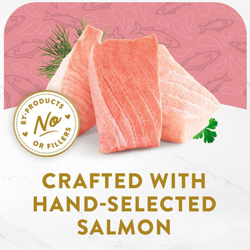 Fancy Feast Appetizers Wild Alaskan Salmon in a Delicate Broth Lickable Cat Treats