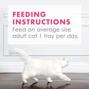 Fancy Feast Appetizers Wild Alaskan Salmon in a Delicate Broth Lickable Cat Treats