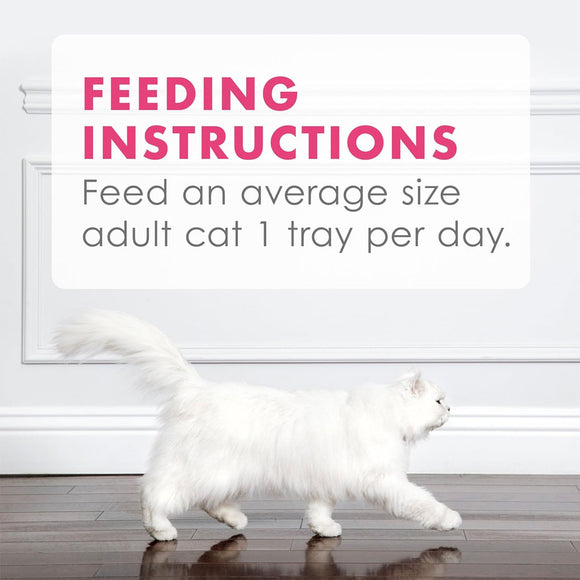 Fancy Feast Appetizers Wild Alaskan Salmon in a Delicate Broth Lickable Cat Treats