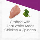 Fancy Feast Medleys White Meat Chicken Florentine in Sauce Wet Cat Food