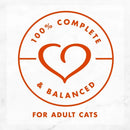 Fancy Feast Medleys Shredded White Meat Chicken Fare in Broth Wet Food