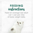 Fancy Feast Medleys Shredded Turkey Fare in Broth Wet Cat Food