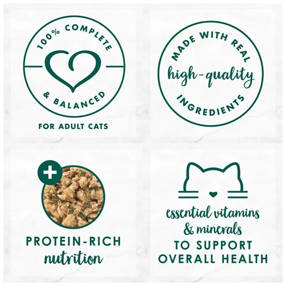 Fancy Feast Medleys Shredded Turkey Fare in Broth Wet Cat Food