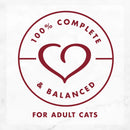 Fancy Feast Medleys Shredded Wild Salmon Fare in Broth Wet Cat Food