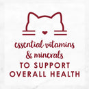 Fancy Feast Medleys Shredded Wild Salmon Fare in Broth Wet Cat Food