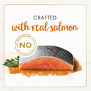 Fancy Feast Gourmet Naturals Wild Alaskan Salmon Recipe Pate Canned Cat Food