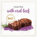 Fancy Feast Gourmet Naturals Beef Recipe Pate Canned Cat Food