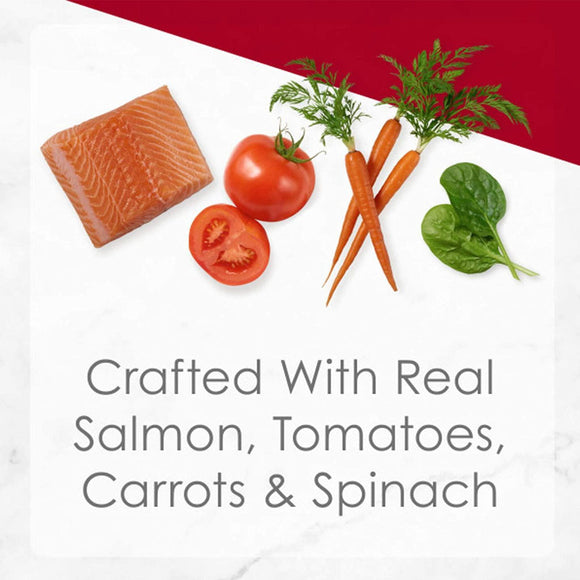 Fancy Feast Medleys Salmon Primavera in Sauce Wet Cat Food