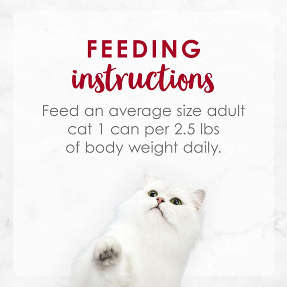 Fancy Feast Medleys Salmon Primavera in Sauce Wet Cat Food