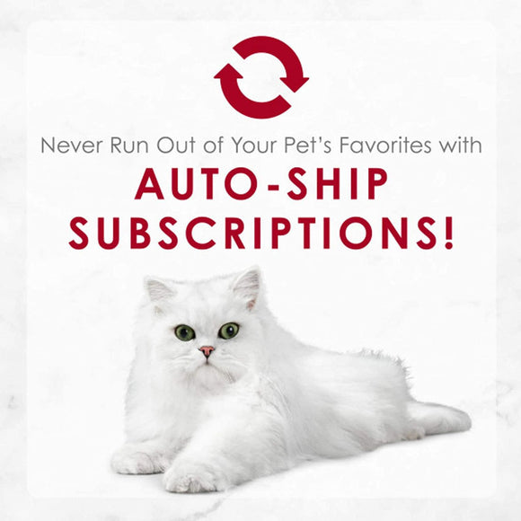 Fancy Feast Medleys Salmon Primavera in Sauce Wet Cat Food